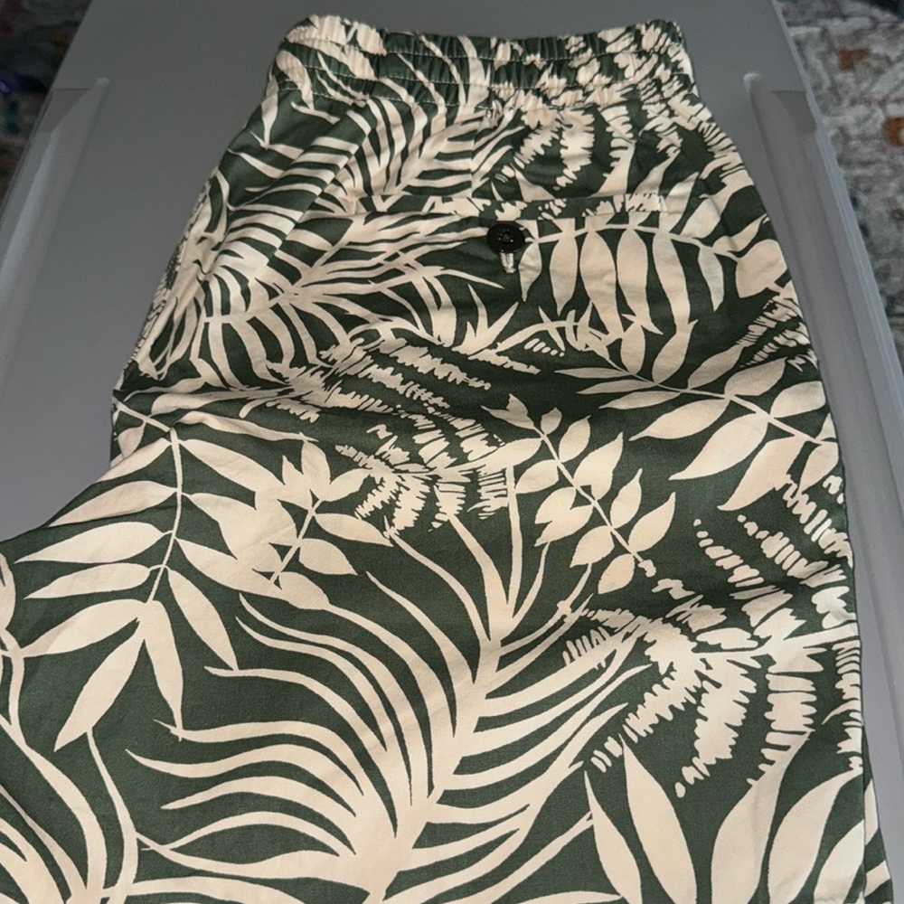 J Crew shorts